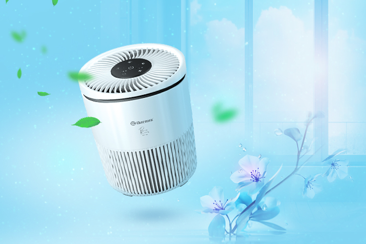 Инвестиция в здоровый микроклимат с воздухоочистителем Thermex Bora