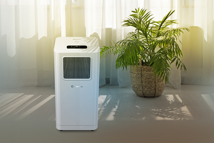 Круглый год выгодного комфорта — серия мобильных кондиционеров Thermex Porto