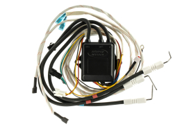 Устройство импульсное с иглами поджига и контроля пламени EDISSON F, H